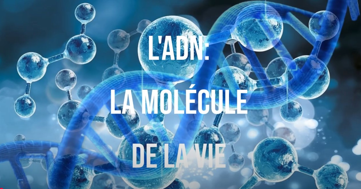 L’ADN scientifique et spirituel